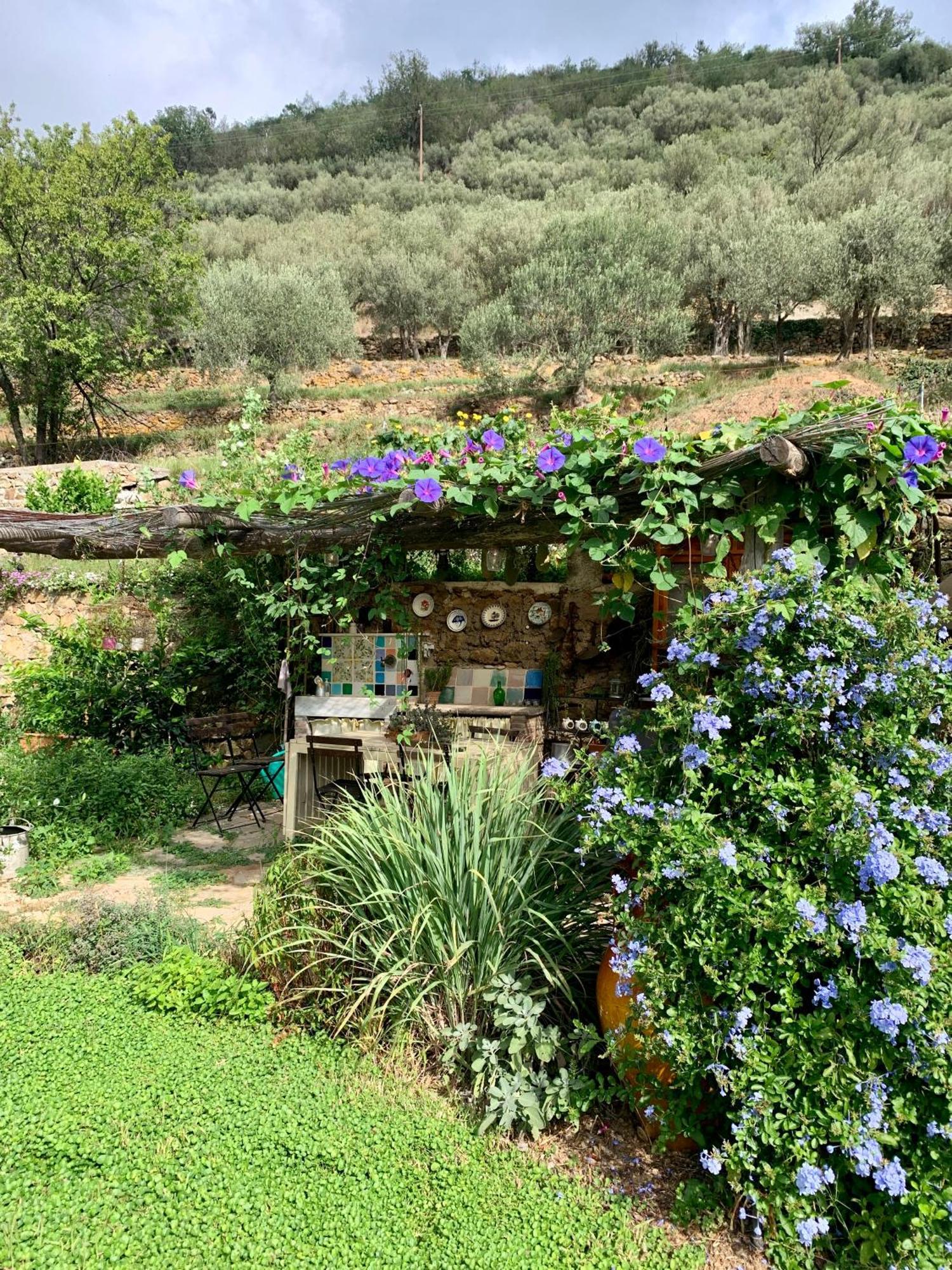 Bed and Breakfast Ca' de Badin Noli Exterior foto