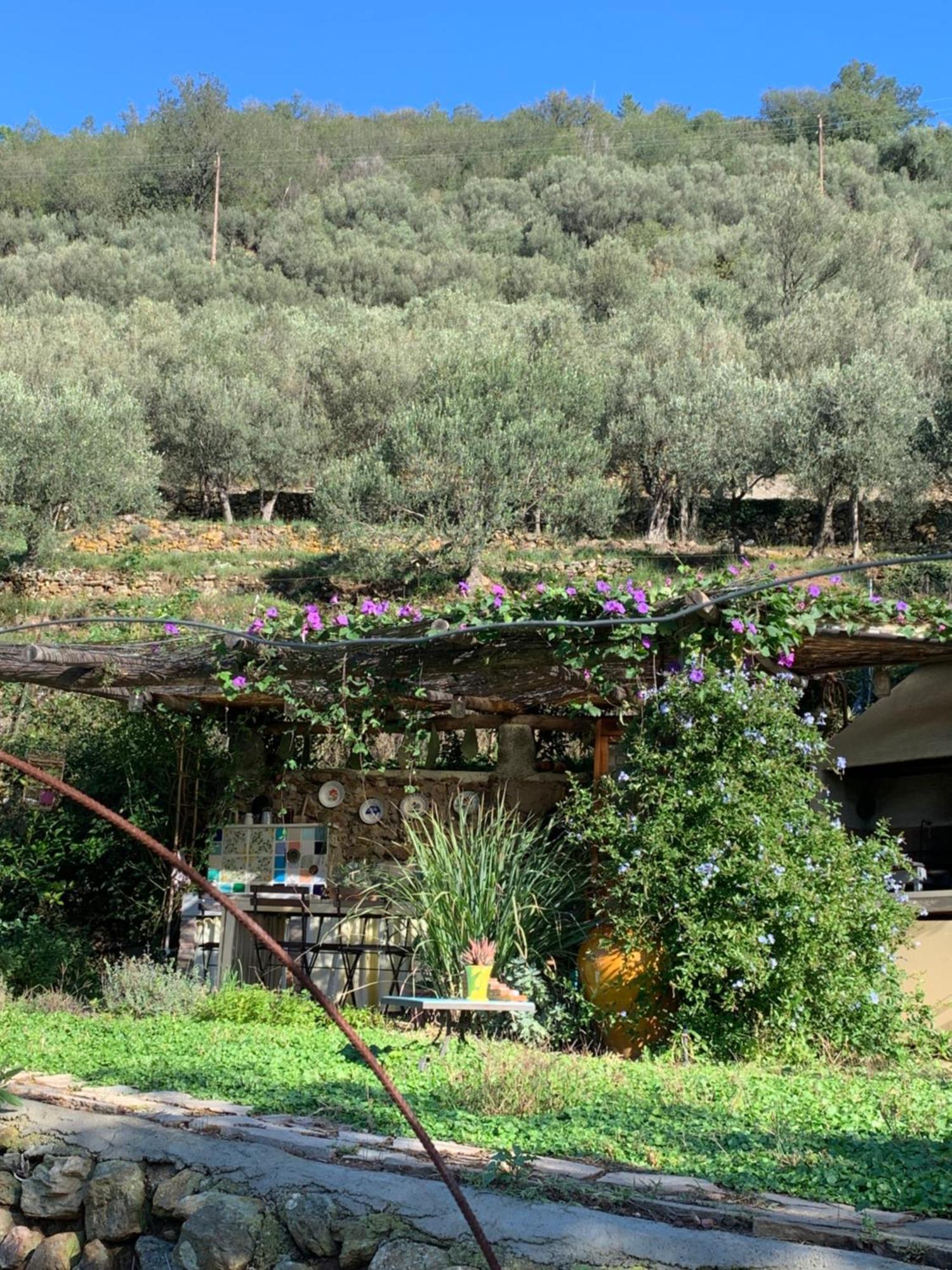 Bed and Breakfast Ca' de Badin Noli Exterior foto