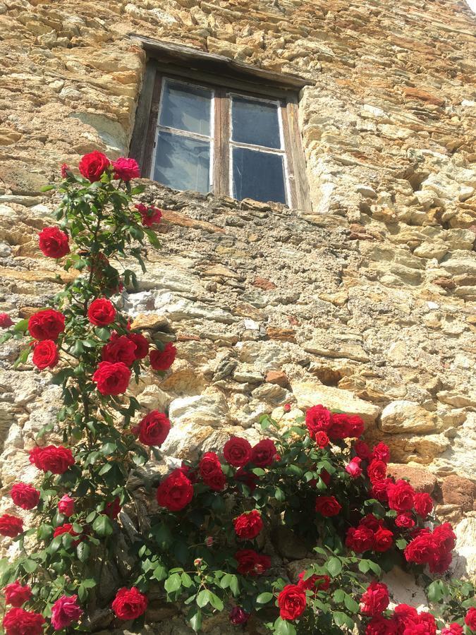 Bed and Breakfast Ca' de Badin Noli Exterior foto